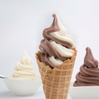 Как сделать бизнес по продаже мягкого мороженого